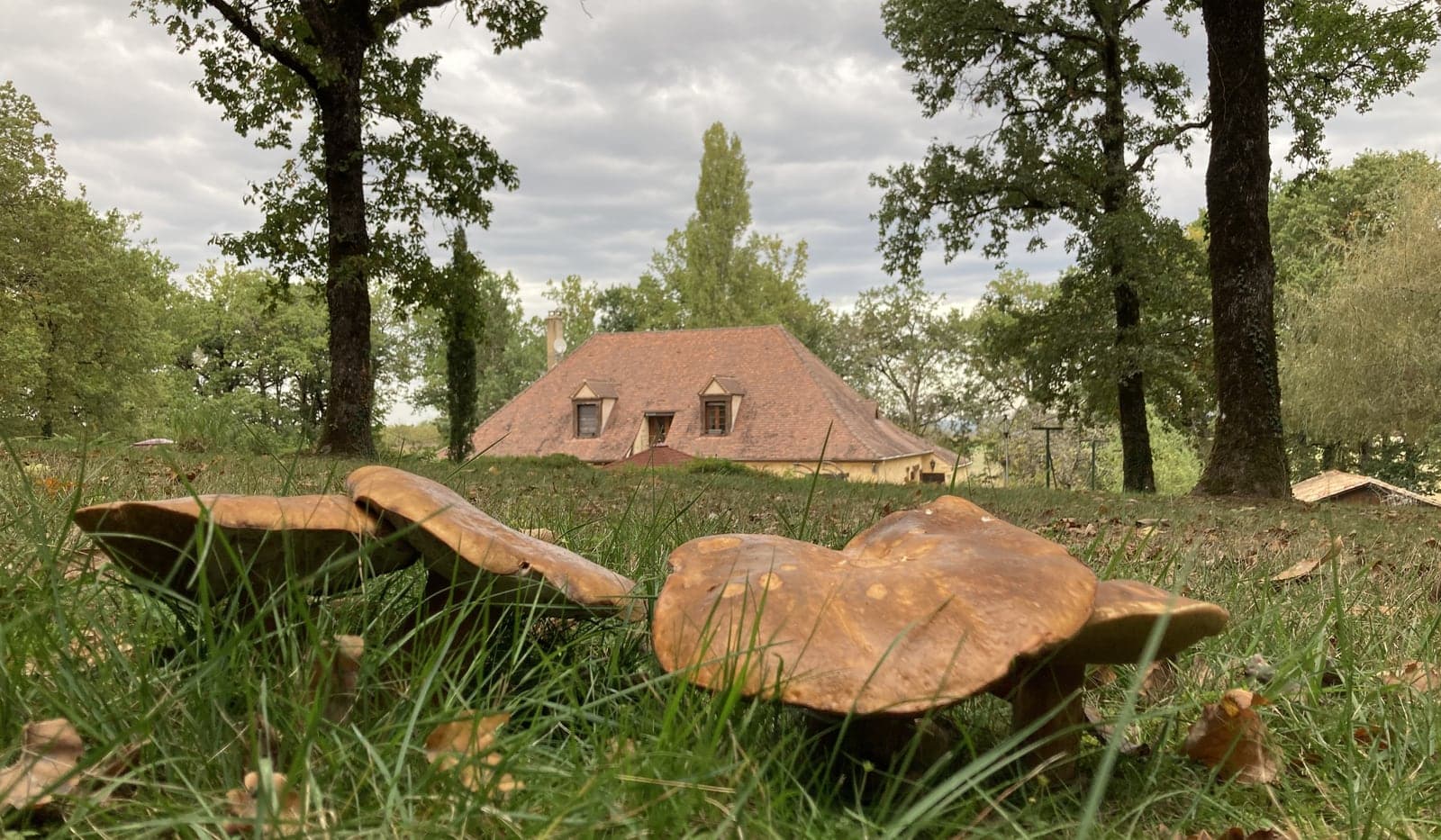 Autumn in the Périgord: Walnuts, Truffles, Foie Gras and the Best-Kept Secret in French Travel