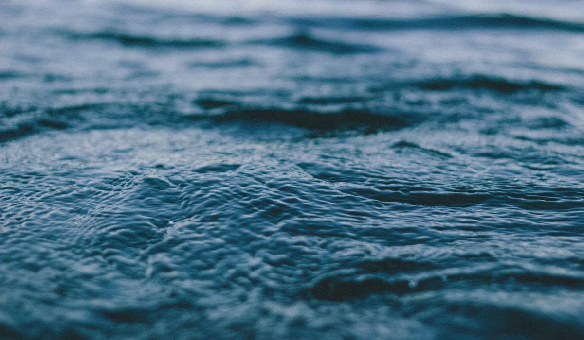 Where Natural Beauty Meets Outdoor Passion: Active Holidays in the Dordogne