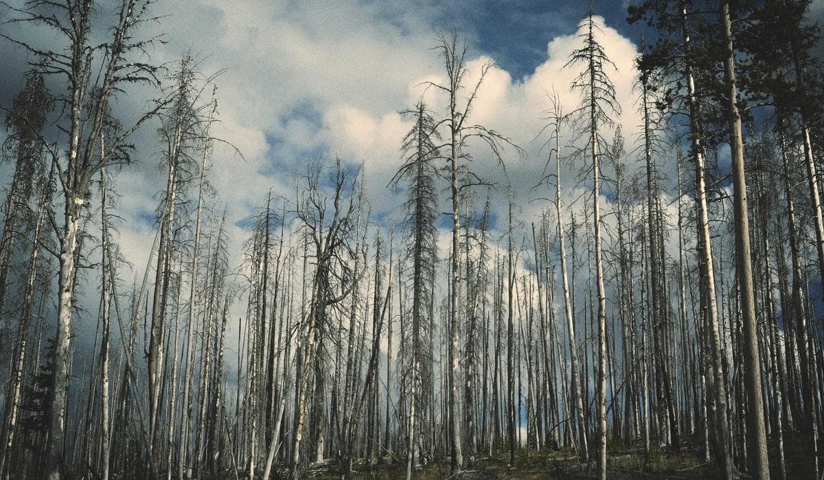 The Dordogne: One Destination, Four Flavours