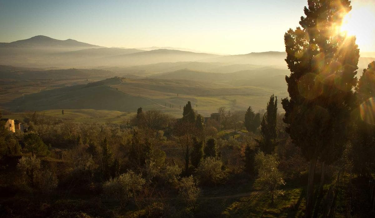 A Guest's Guide to Truffle Season in the Dordogne